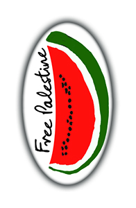 free palestine watermelom button